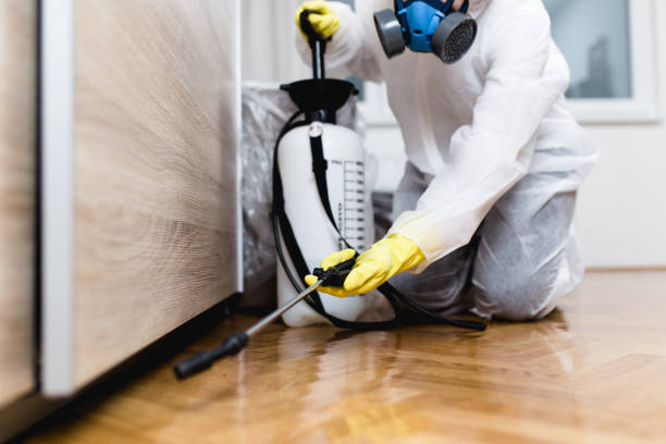 Pest Prevention Services in Harlem, FL