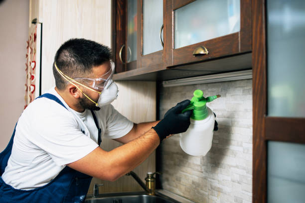 Best Pest Inspection Near Me  in Harlem, FL