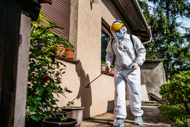 Best Best Pest Control Companies  in Harlem, FL