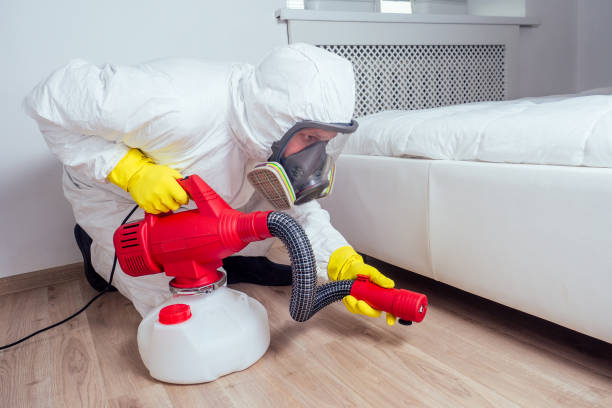 Best Local Pest Control Services  in Harlem, FL