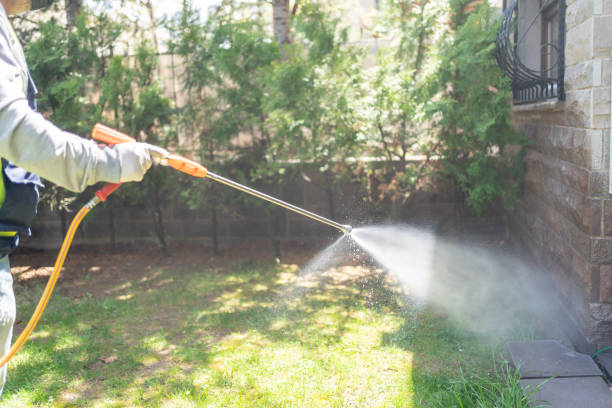 Best Pest Prevention Services  in Harlem, FL