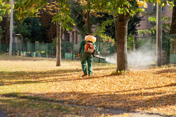 Best Mosquito Control Services  in Harlem, FL
