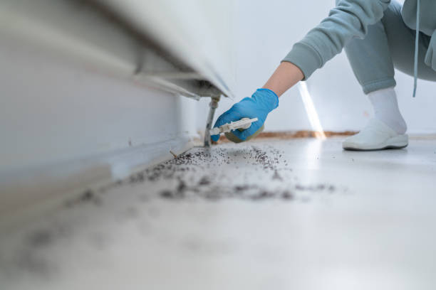 Best Pest Control Near Me  in Harlem, FL